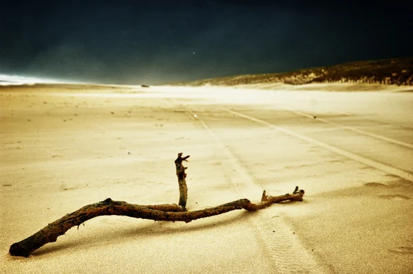 Madera en la playa HDR — Foto de Stock