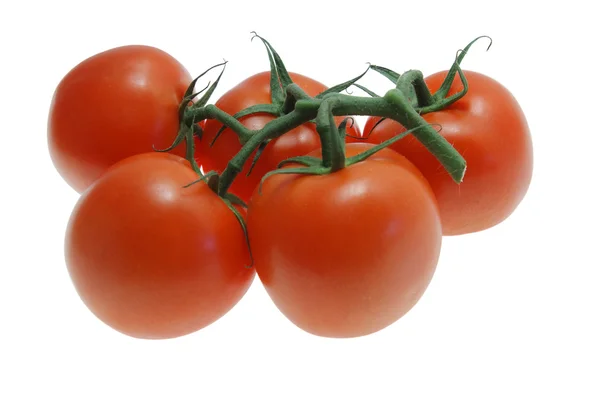 Tomates, aislados sobre fondo blanco — Foto de Stock