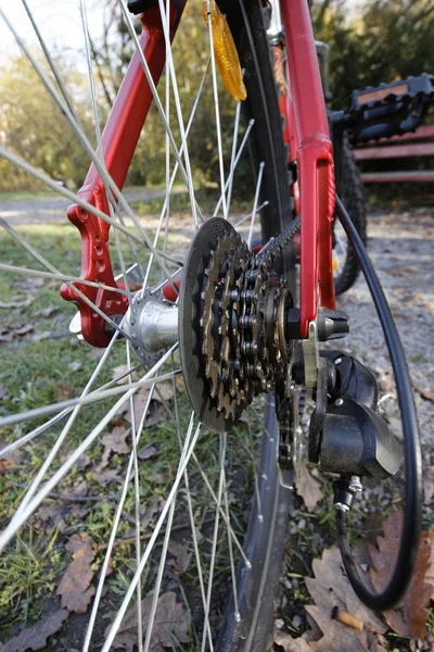 Задняя кассета горного велосипеда на колесе с цепью — стоковое фото