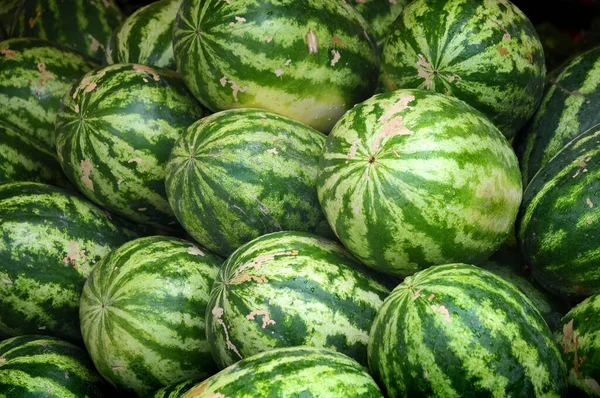 Melones —  Fotos de Stock