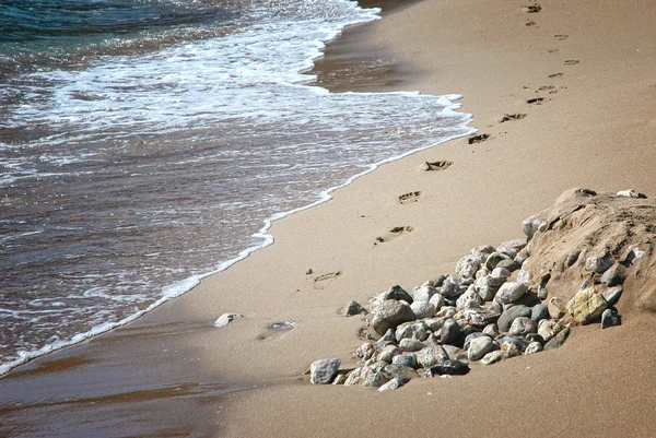 Пляж Волна Ступеньки — стоковое фото