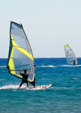 Windsurfing clipart