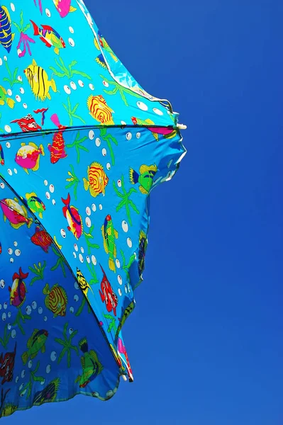 stock image Umbrella