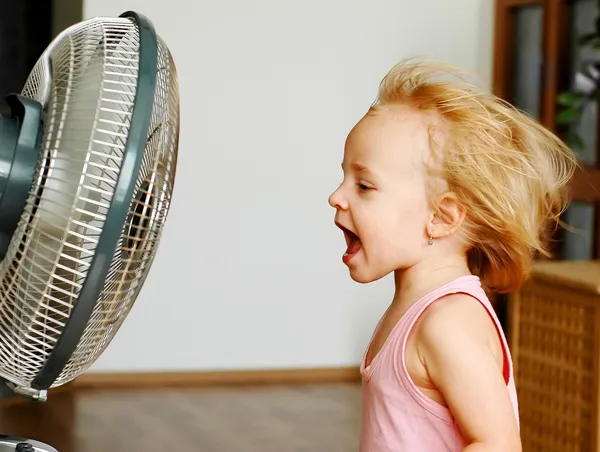 The Fan — Stock Photo, Image