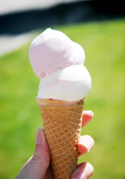 stock image Ice cream