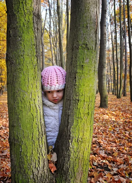 Девочка и дерево — стоковое фото