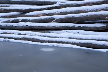 orman içinde kar altında günlükleri