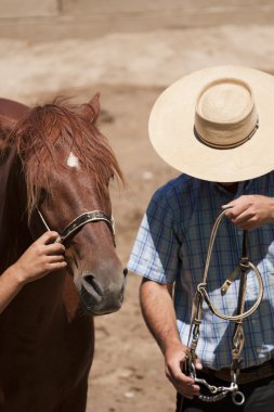 Chilean horseman - preparing for a ride clipart