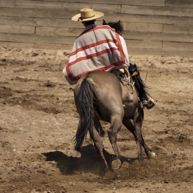 Şili rodeo - Atlısı geleneksel spor