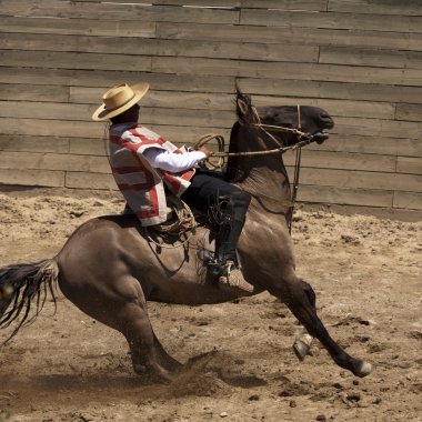 Chilean rodeo clipart