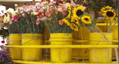 Flowers in baskets clipart