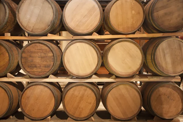 Wooden Casks Vinery Stock — Stock Photo, Image