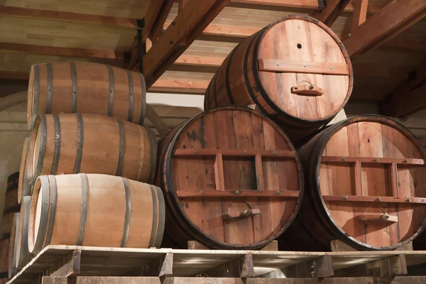 Wooden Casks Vinery Stock — Stock Photo, Image