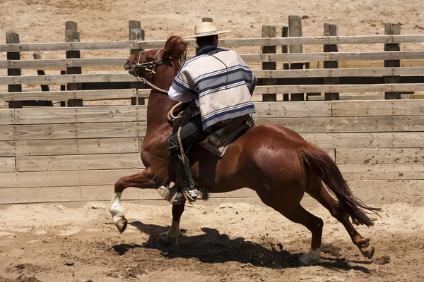 Chilijskie Rodeo Tradycyjny Sport Jeźdźców — Zdjęcie stockowe