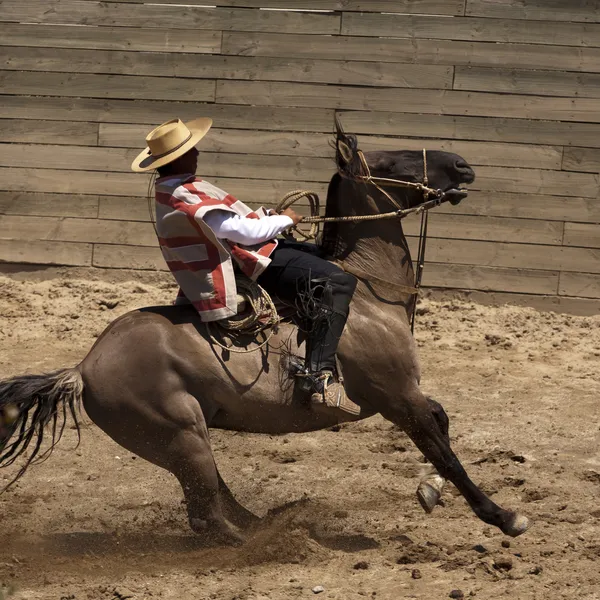 Şili rodeo — Stok fotoğraf