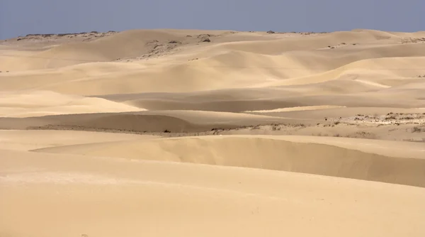 Dune Nel Deserto Ambiente Ostile — Foto Stock