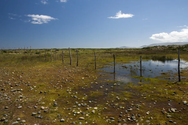 stock image Wetlands