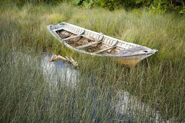 Старая деревянная лодка в тростнике — стоковое фото