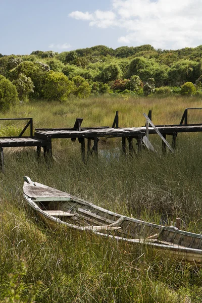 Velho barco de madeira em junco — Fotografia de Stock