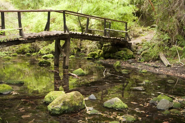 Small wooden bridge — Stock Photo, Image