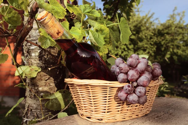 Vinho rosa e uva — Fotografia de Stock