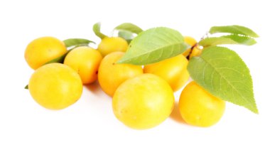 Yellow plums clipart