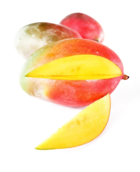 Mango. . — Foto de Stock