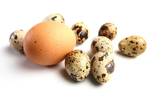 9 eieren. — Stockfoto