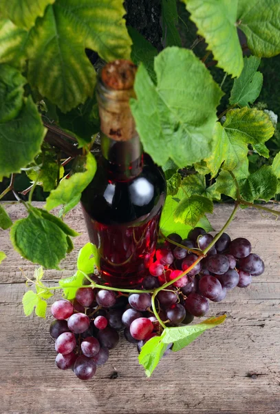 粉红葡萄酒和葡萄 侧重于葡萄瓶 — 图库照片