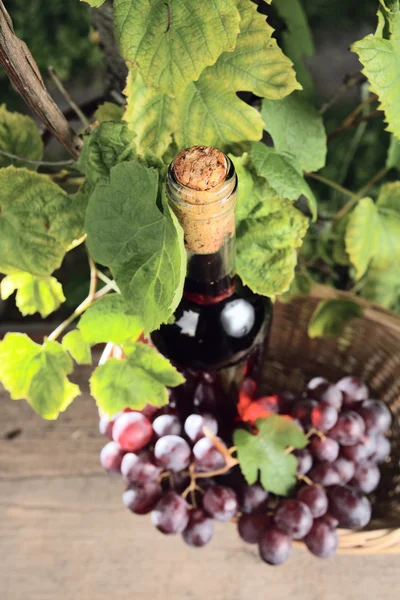 Láhev s růžovým vínem — Stock fotografie