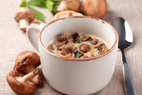 Mushroom soup — Stock Image Mushroom soup Stock Photo