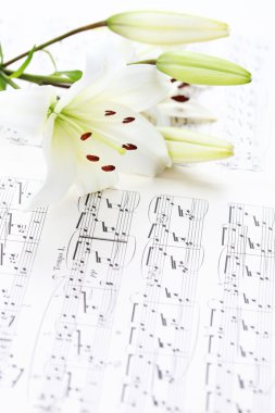 Music notes clipart