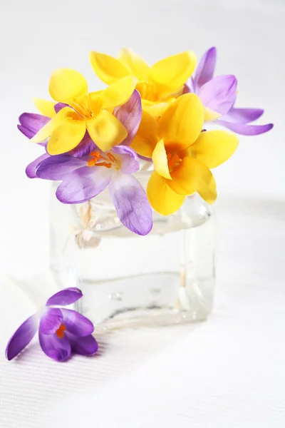 Detalle Pascua Con Flores Azafrán Motivo Primavera —  Fotos de Stock