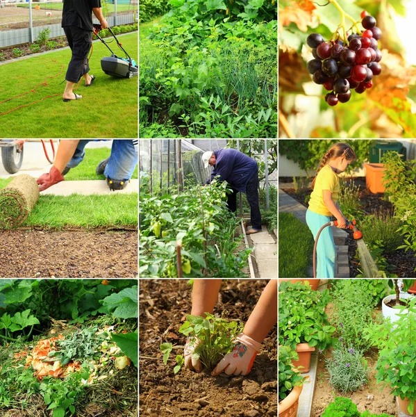 Trädgårdsarbete — Stockfoto