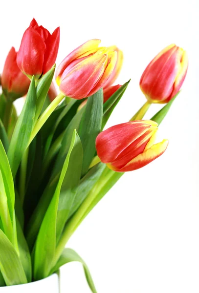 Tulips in vase Royalty Free Stock Images