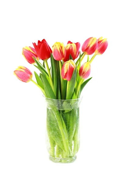 Haushaltsgerät Schöne Tulpen Der Vase Isoliert — Stockfoto