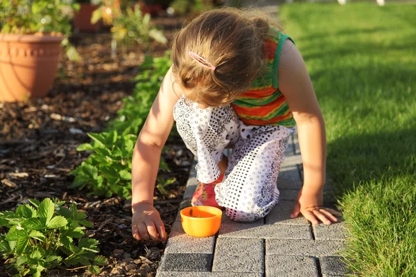 Child helping in garden — Stock Photo, Image