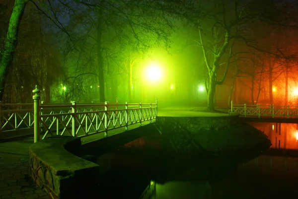 stock image Park in the fog