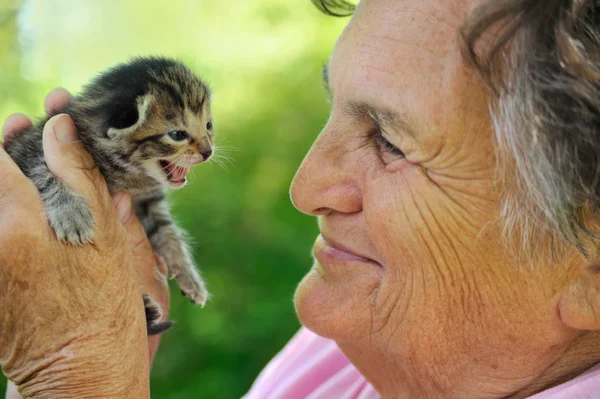 Starší žena drží koťátko — Stock fotografie