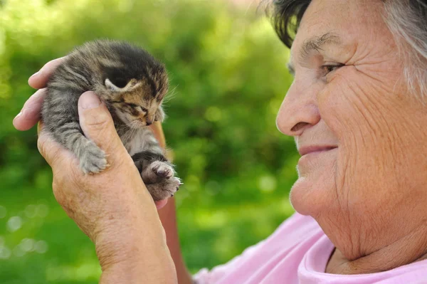 Mujer mayor sosteniendo pequeño gatito —  Fotos de Stock