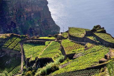 South coast of Madeira island, Rancho - Portugal clipart