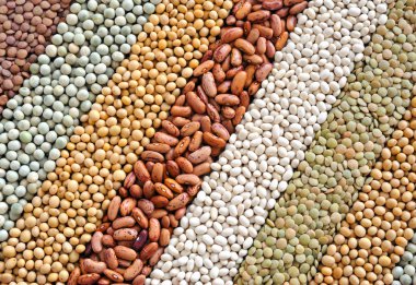 Mixture of dried lentils, peas, soybeans, beans - background