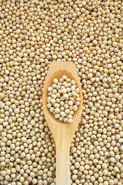 Wooden spoon and dried soybeans clipart