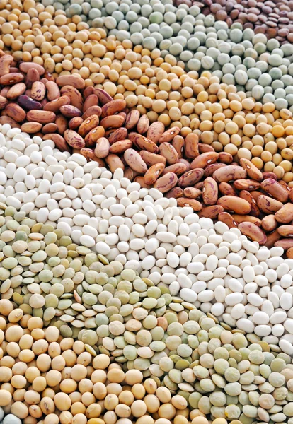 乾燥レンズ豆、エンドウ豆、大豆、豆 - 背景の混合物 — ストック写真