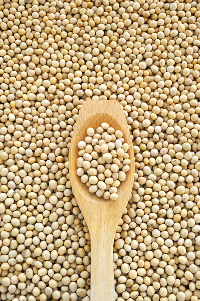 Wooden spoon and dried soybeans — Stock Photo, Image