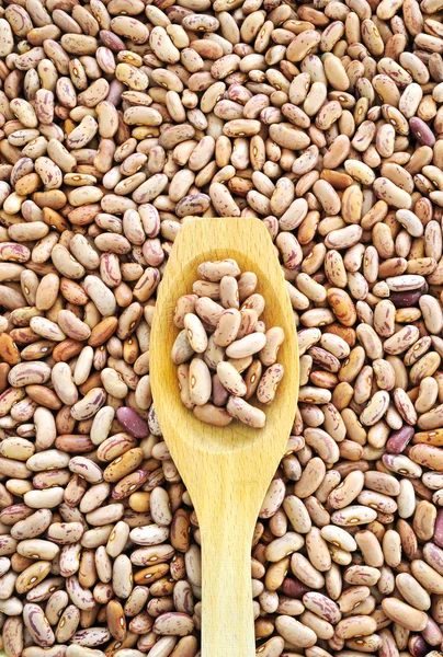 Wooden spoon and dried pinto beans — Stock Photo, Image