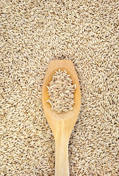 Wooden spoon and dried husked oats — Stock Photo, Image