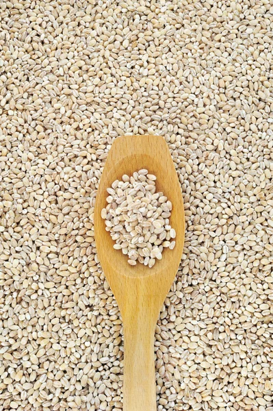 Wooden spoon and dried pearled barley — Stock Photo, Image