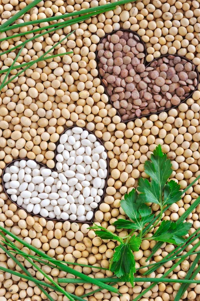 レンズ豆、大豆、ハーブ - パルス概念と豆 — ストック写真