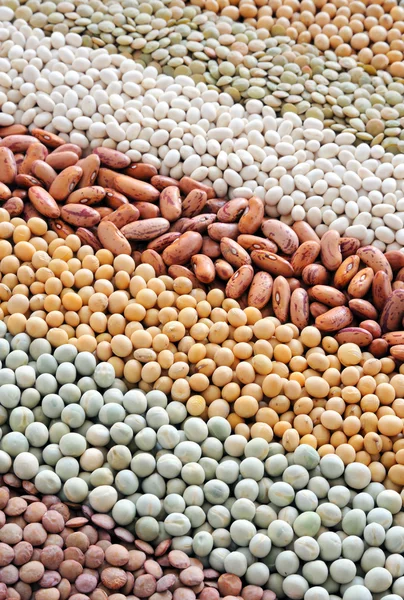 混合的干的扁豆、 豌豆、 大豆、 豆-背景 — 图库照片